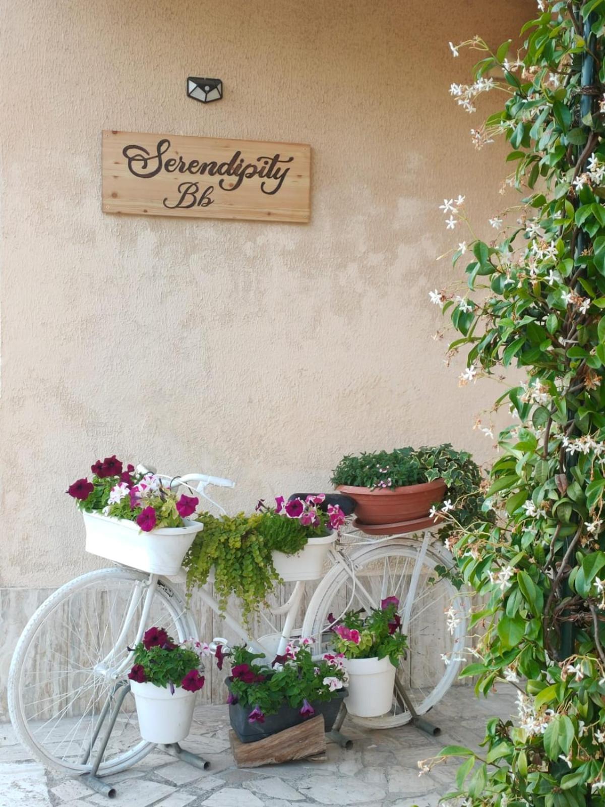 Serendipity B&B Fabriano Esterno foto